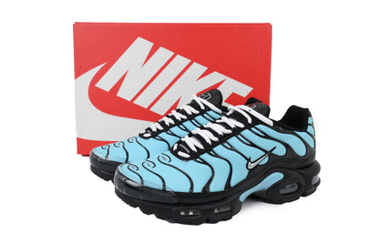 Nike Air Max Plus Aqua Silver | Zapatillas Lifestyle Premium