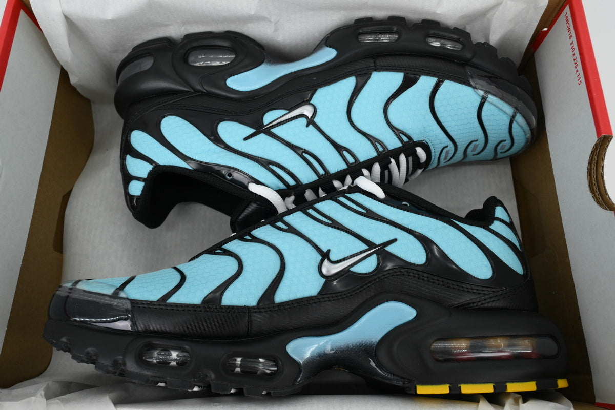 Nike Air Max Plus Aqua Silver | Zapatillas Lifestyle Premium